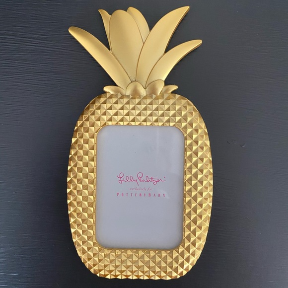 Lilly Pulitzer x pottery barn Frame (small)